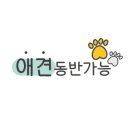 인제 스테이 밸리 캠핑 이미지
