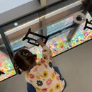 리틀베프 항동점 이미지