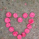 해반공원 이미지