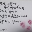 초승달캘리