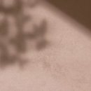 동탄365바름치과의원 이미지