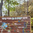 용늪마을 | [등산] 예약해야지만 갈 수 있다는 그 산 인제 대암산 용늪 우중 산행