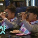 참치연가