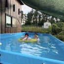 일랑일랑 애견캠핑 인제주 이미지