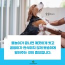 곤지암동물병원 이미지