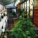 다온애견샵 이미지