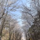 용인대 H 태권도장 이미지