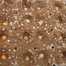 경희농원 이미지