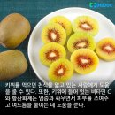 키위