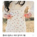 앨리스인견;앨리스공방