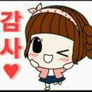 조상진스시 | 조상진선수스시/성주동조상진스시/창원조상진선수스시/창원스시맛집
