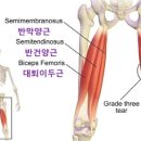 영구스튜디오