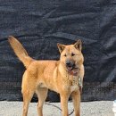 무지개훈련소 이미지