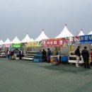 이벤트)희리산산행.서천동백꽃 쭈꾸미 축제=＞부득이 취소하고 경주 토함산산행으로 대체합니다.. 이미지