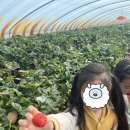 승리마루 명성도장 이미지