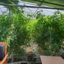 대산농장 이미지