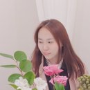 꿈을 그리는 캘리그라피 이미지