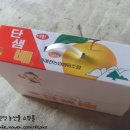 단 샘