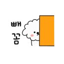 디오티티 이미지