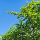 장원손칼국수 이미지