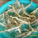 강신농장 이미지