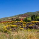 행복이 피어나는 카페 이미지