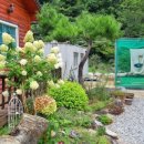 평화펜션 이미지