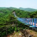 섬강농원 이미지