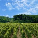 태형농장 이미지