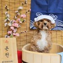 원주유치원 이미지