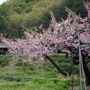 사곡 2리 이미지