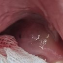 김태건치과의원 이미지