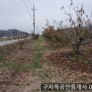 대공농장 이미지