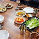 꼬리 | 제주 영미식당 도가니수육 반반 꼬리전골 후기 + 웨이팅 팁