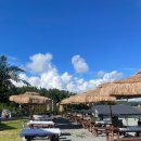 대하다방 | 대부도 가을 대하 맛집 투투새우 가성비와 뻘뷰를 동시에 잡은 솔직후기