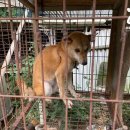 진도농장 이미지