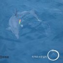 종달로가 이미지