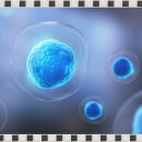 암 재활 이미지