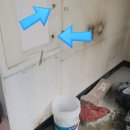 모란커피숍
