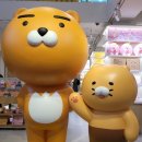 스시마카세 이미지