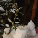 무주흙집풍경 이미지