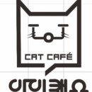익산 고양이카페 아이캣유 이미지