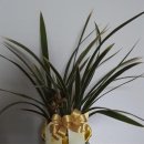 강동할인마트 이미지