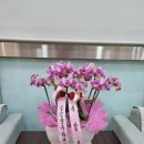 현대자동차 옥동점 이미지