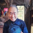 소라피데 이미지