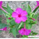 한별컴퓨터 이미지