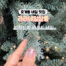 라라네일살롱