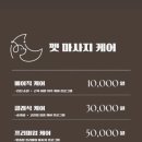 체리야피부 | 장유 대청동 애견미용 |우리 강아지 맡기고 안심하고 나온 ‘ 루나독 ’