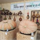 용문농장 이미지