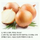 느끼한 거 좋아하는 사람 있어? 야매로 크림리조또 만들기 이미지